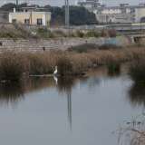 ...scopriamo con grande stupore una fonte di acqua dolce che d� origine a un vero e proprio laghetto